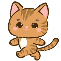 Hand drawn doodle illustration kawaii cute cat. Pet cartoon character. Kitten Collection of design elements.