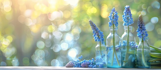Glass bottles with blue muscari flowers arranged on a table against a bright softly focused backdrop with copy space image