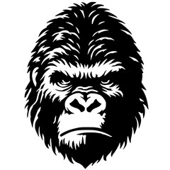 Kingkong portrait silhouette