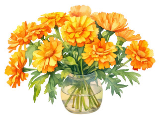PNG Marigolds vase flower plant.