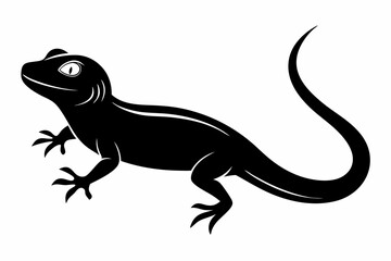 Lizard black Silhouette vector isolated on white background
