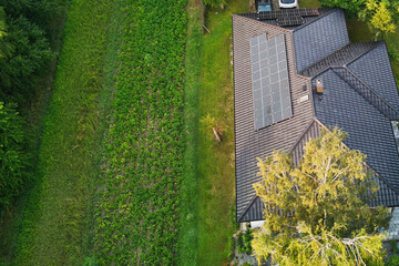 Green Living with Solar Panels in Suburban Homes