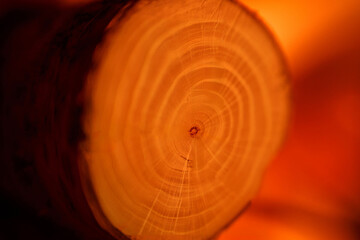 warmly lit scene with a rustic edison bulb table lamp on a wood slice base casting