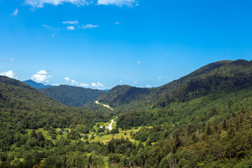 Amazing panorama of green forest and mountain range.