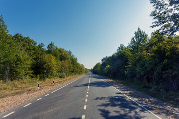Landscape with empty asphalt road through forest, blue sky
