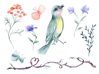 Floral set of tiny singing bird of pastel colors and flowers hand drawn watercolor. Green bird, butterfly, twig shaped heart in botanical sketch. Elements for design child illustration, textile, card.