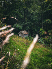 Tiny shed in the Woods with Green field in front