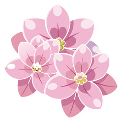 Transparent Watercolor Flowers, Floral Watercolor, Watercolor  Flowers
