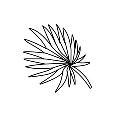 outline of tropical leaf