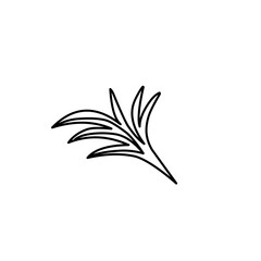 outline of tropical leaf