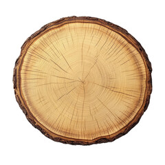Fototapeta premium Empty Wood Slice Sign With Engraved Border Isolated on White Background