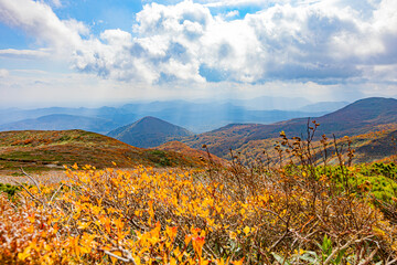 Fototapeta premium 栗駒山 秋の絶景風景 
