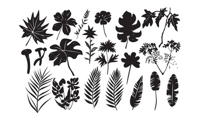 set of flowers graphics element isolated vector  illustration