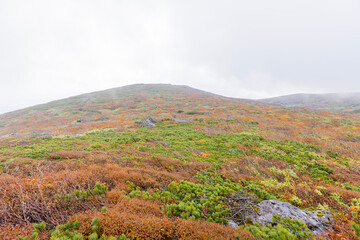 東北地方　秋の栗駒山
