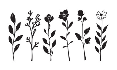  plants, flowers , leaf silhouette set , hand drawn graphics trees collection isolated vector