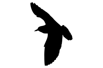 Silhouette of a Bird in Flight for Design Decoration