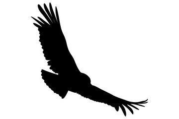 Obraz premium Silhouette of a Bird in Flight for Design Decoration