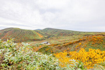 秋田県　秋田駒ヶ岳の紅葉風景
