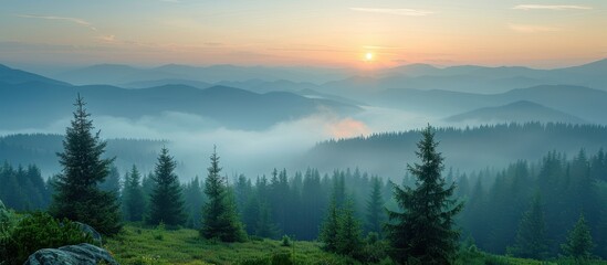 Fototapeta premium Serene Sunrise Over Misty Mountain Range with Pine Trees and Rolling Hills