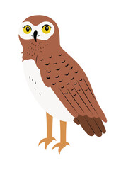 Cute standing pygmy owl, with brown feathers and yellow eyes. Hand drawn little bird vector illustration, isolated on white