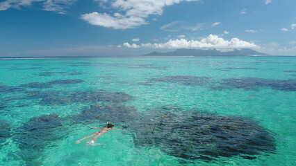 Woman snorkeling crystal clear turquoise water coral barrier reef, sunny day. Slim girl in bikini enjoy outdoor lifestyle travel summer holiday vacation. Tahiti, Polynesia. Aerial top view, drone shot