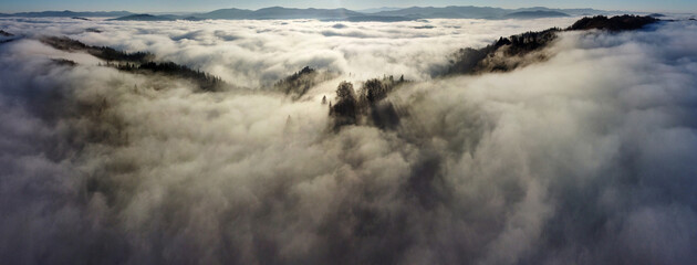 Fototapeta premium Breathtaking aerial view of mountain range shrouded in dense fog, with tree-covered ridges piercing through mist. Fog blankets valleys, creating serene and mystical atmosphere under clear sky.