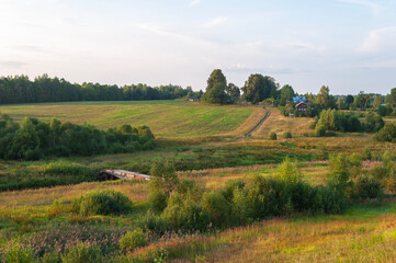 Country landscape with green field and trees at village outskirts, Kostroma region, Russia. Summer...