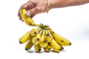 Hand of a woman picking a banana from a bunch of bananas on a white background. closeup