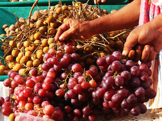 a vibrant scene of fresh fruits being sold in traditional market in semarang, Indonesia. The image...