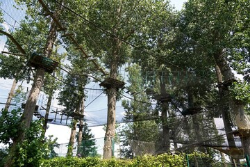 Vue sur un parcours d'accrobranches 