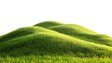 Green field isolated on transparent background.