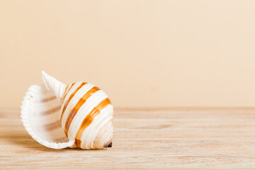 Summer time concept with sea shells or starfish on a table background with copy space for text