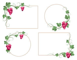 Grapes. Vintage design elements with grape leaves, vine and berries. Background and frames template for autumn festival and harvest, wine production and tasting. Vector illustration