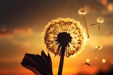 dandelion at sunset . Freedom to Wish. Dandelion silhouette fluffy flower on sunset sky Generative AI