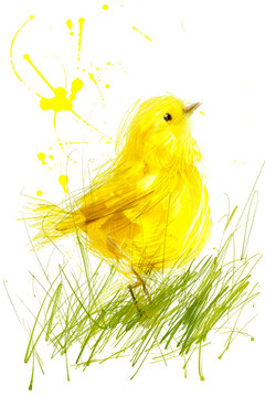 recommend clip art: Yellow Bird in Grass Drawing. Baby Chick Illustration . Generative AI.