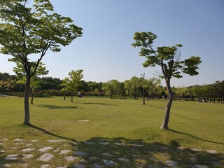 한국의 공원 대전한밭공원