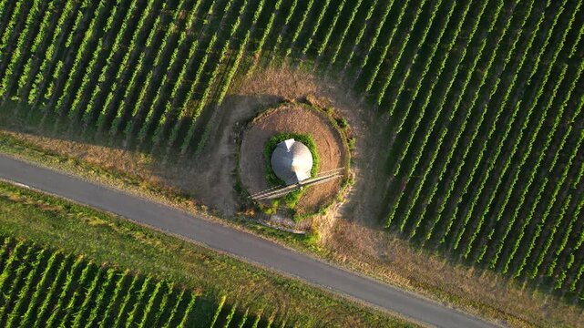 Saint Aubin de Branne, windmill, Bordeaux vineyard, Gironde department, Nouvelle-Aquitaine, France