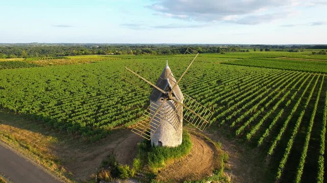 Saint Aubin de Branne, windmill, Bordeaux vineyard, Gironde department, Nouvelle-Aquitaine, France
