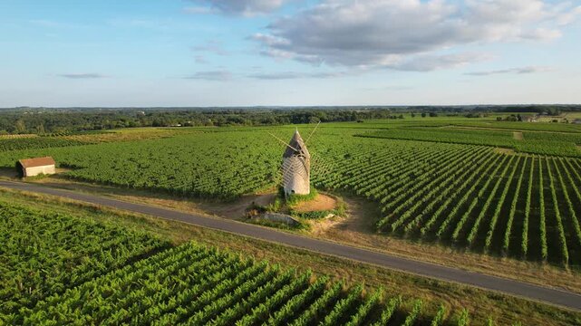Saint Aubin de Branne, windmill, Bordeaux vineyard, Gironde department, Nouvelle-Aquitaine, France