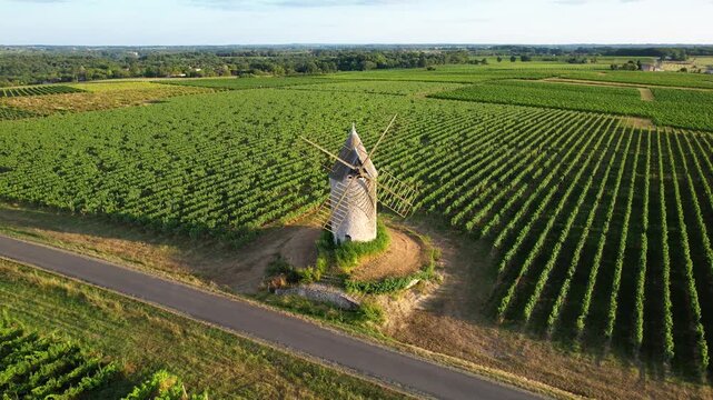 Saint Aubin de Branne, windmill, Bordeaux vineyard, Gironde department, Nouvelle-Aquitaine, France