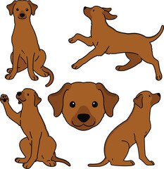 Simple and adorable Rhodesian Ridgeback illustrations outlined