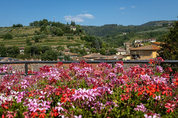 View of the medieval Italian town of Greve in Chianti. Tuscany with flowers in front scene