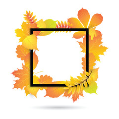 Bright and colorful autumn banner with tree leaves and black square frame for text. Vector illustration.