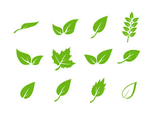 Green leaf icons set. Elements design for natural, eco, vegan. Leaves icon on isolated background. Collection green leaf. Vector