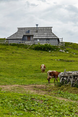 Velika Planina, Kamnik, Slovenia. Lord of the Rings style village. Wooden typical houses, hills,...