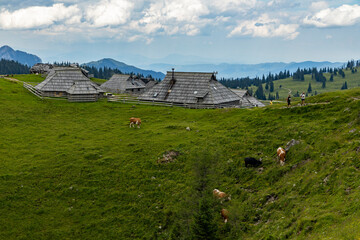Velika Planina, Kamnik, Slovenia. Lord of the Rings style village. Wooden typical houses, hills,...