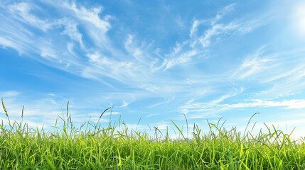 Obraz premium Peaceful Blue Sky with Lush Green Grass Creating a Serene and Inviting Natural Background for Outdoor Activities