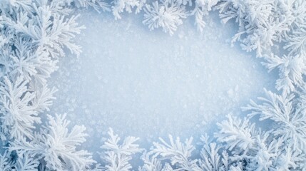 Frost-laden pine fronds encircle a soft, blue backdrop, enhancing the serene beauty of a winter morning filled with delicate ice patterns