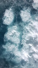 Fototapeta premium Frost-laden pine fronds encircle a soft, blue backdrop, enhancing the serene beauty of a winter morning filled with delicate ice patterns