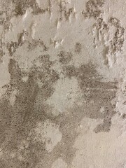 White painted ceiling of an old house with black mold spreading. Detailed texture of black mold growth on the paint.